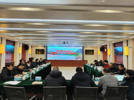 公司召开宜冲桥水库项目前期工作专家征询会议