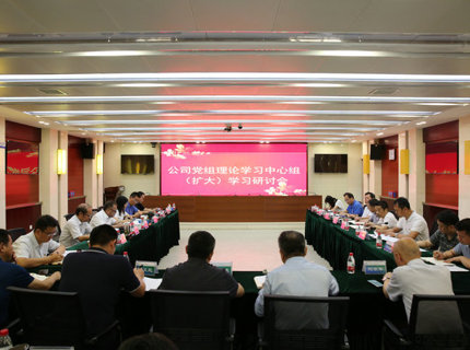 麻将胡了公司党组理论进建中心组发展主题教育第五次集中进建钻研