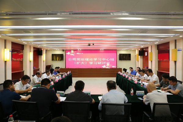 麻将胡了公司党组理论进建中心组发展主题教育第五次集中进建钻研