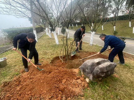 徐磊到皂市电站参与使命植树活动