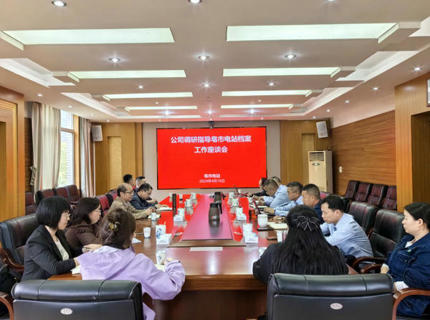 公司查抄组查抄督导基层单元档案治理工作