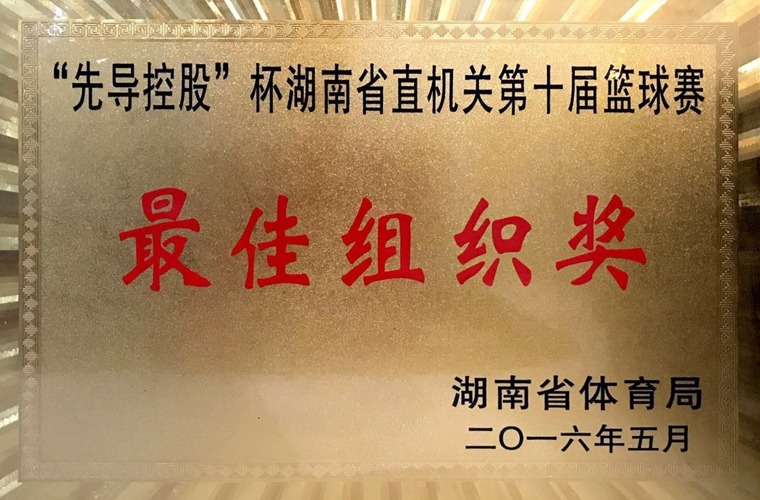 “先导控股”杯篮球赛最佳组织奖