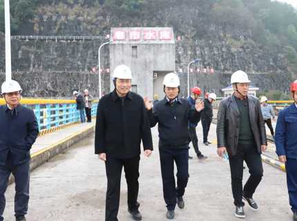 长江委发展2024年江垭和皂市水库工程运行治理查核