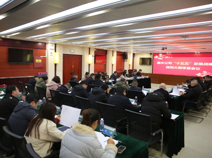 麻将胡了公司召开“十五五”发展战术规划纲领审查会
