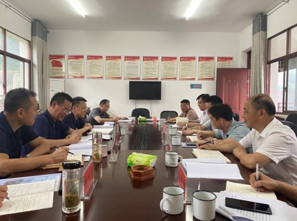 徐磊调研石门大兴场村共绘村落振兴新蓝图