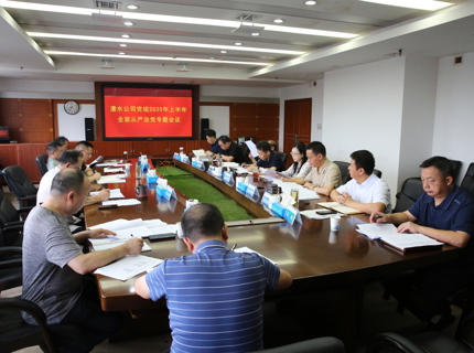 公司党组召开上半年全面从严治党专题会议