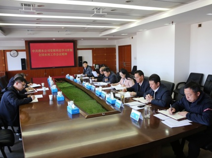 麻将胡了公司党组通报进建贯彻2026年全国水利工作会议心灵