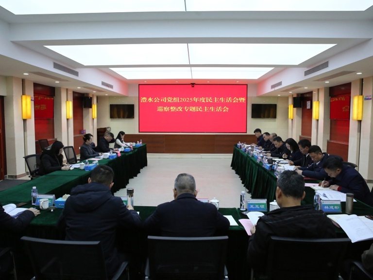 任红梅领导麻将胡了公司党组2025年度民主生涯会暨巡察整改专题民主生涯会