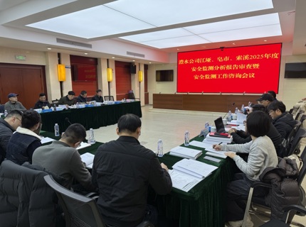 公司召开江垭、皂视注索溪水库2025年度安全监测汇报审查暨安全监测工作征询会议