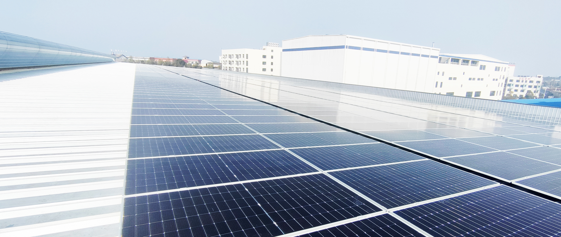 掌管  进取  求实  创新